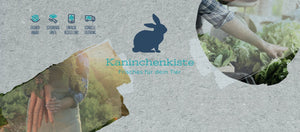 Frischeliebe für glückliche Kaninchen