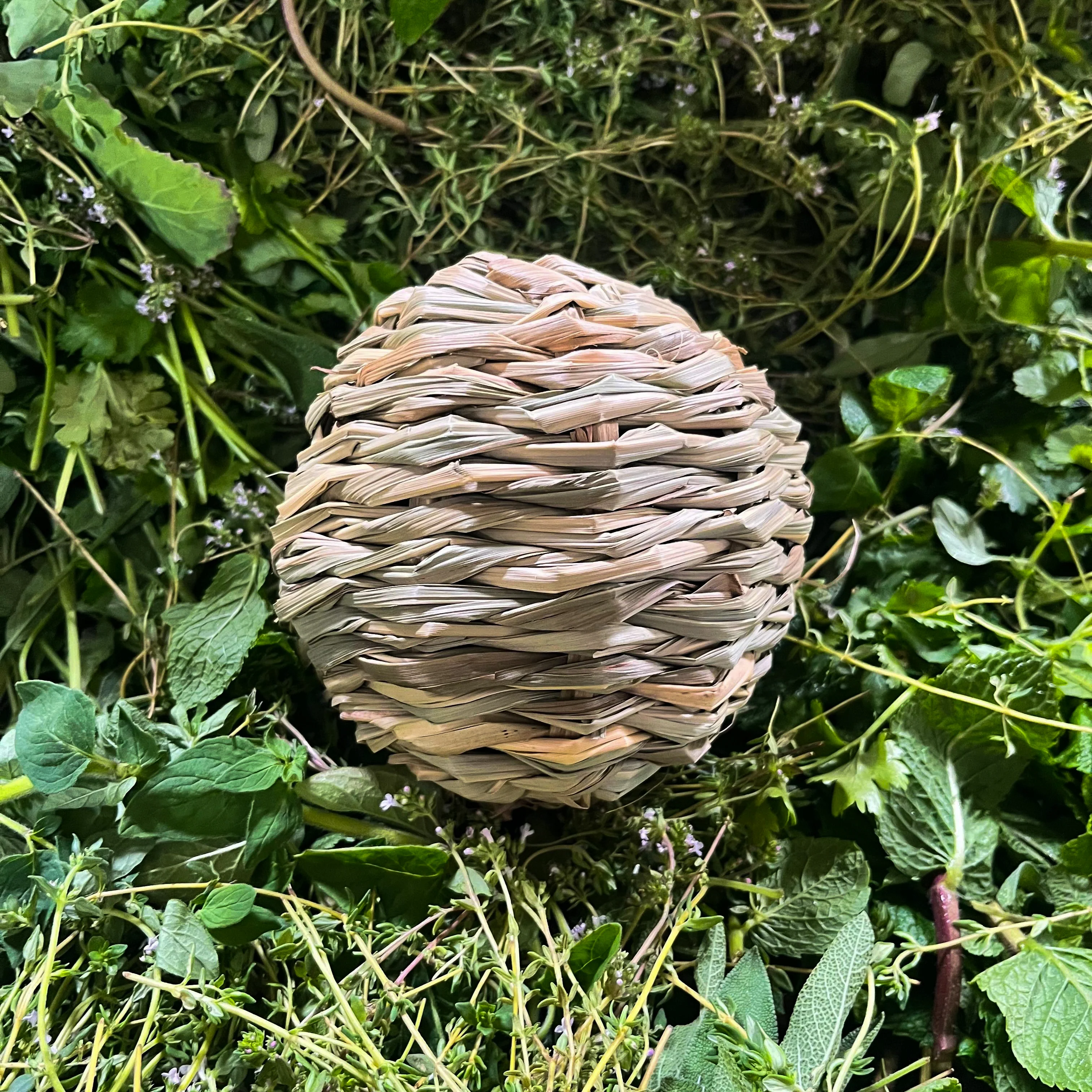 Vorschaubild 1