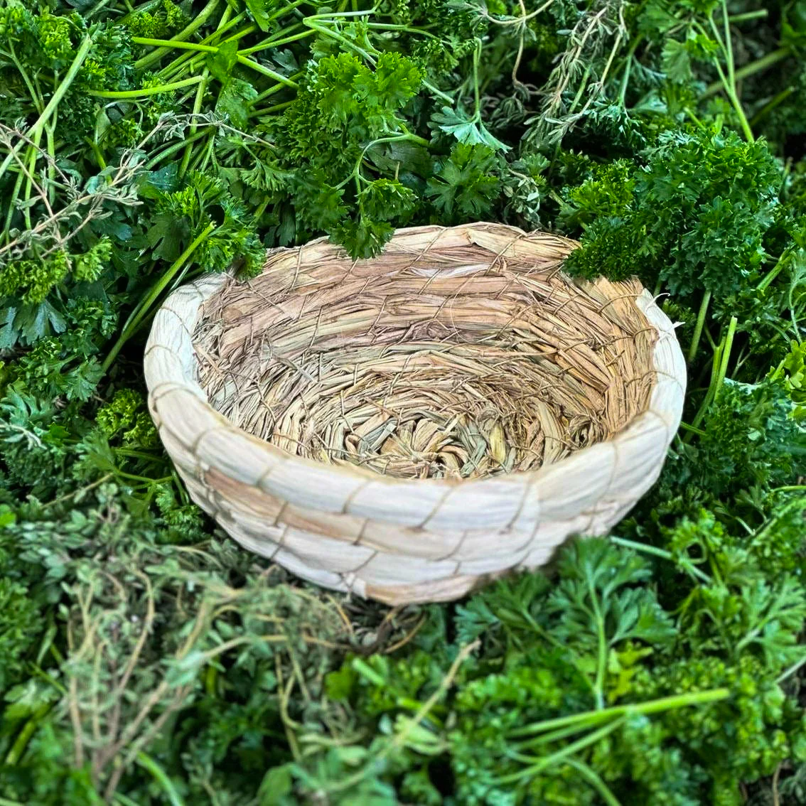 Vorschaubild 2