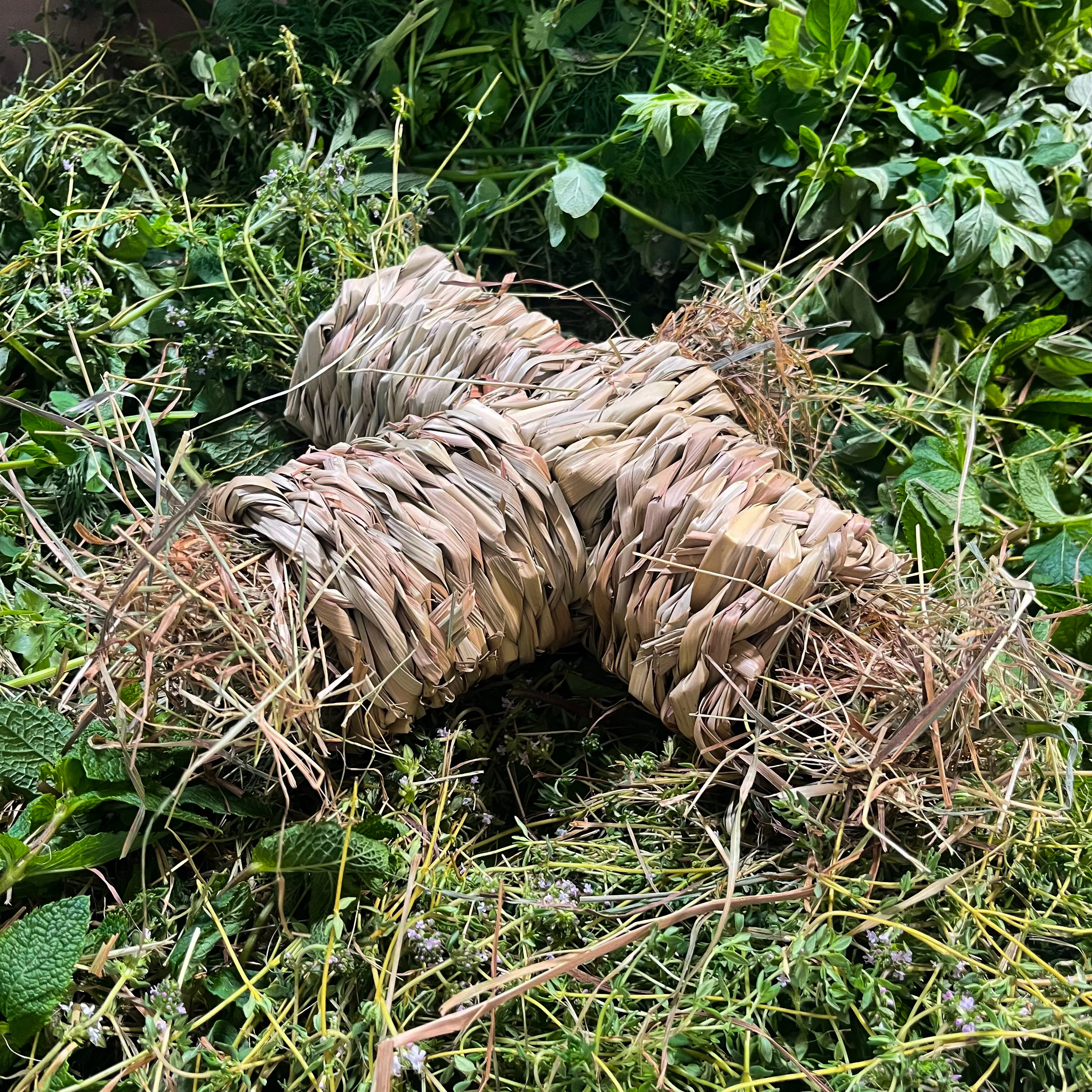 Vorschaubild 2