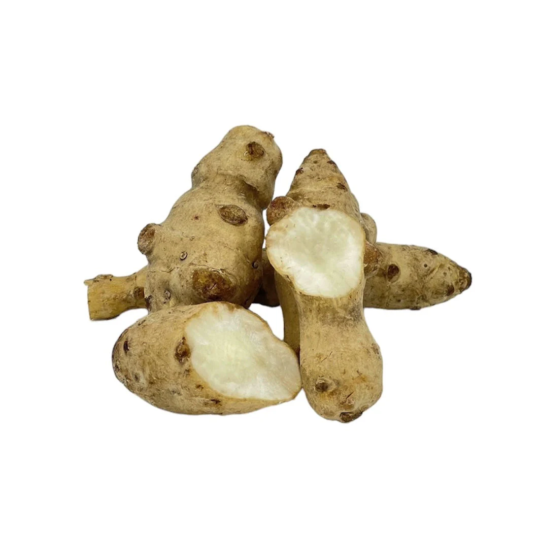 Vorschaubild 1